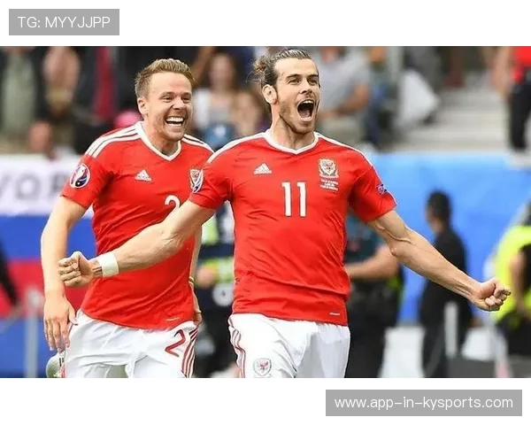 匈牙利客场战平威尔士，晋级前景存疑，匈牙利对塞尔维亚宣战